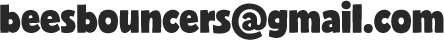 beesbouncers@gmail.com